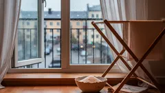 Slipp mögel och fukt: enkla husmorsknep för ett fräscht hem